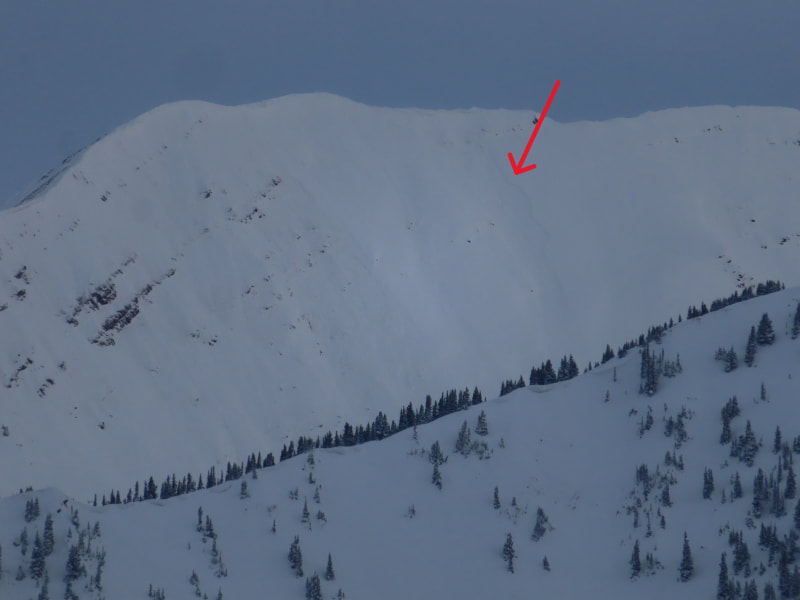 Observation photo 4