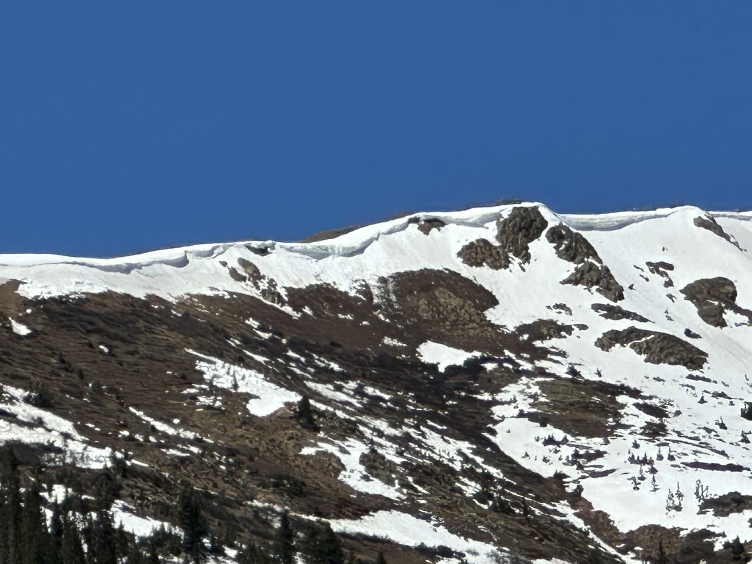 Observation photo