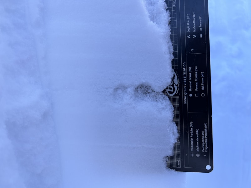 Observation photo 1
