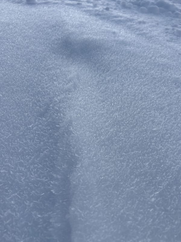 Observation photo 1