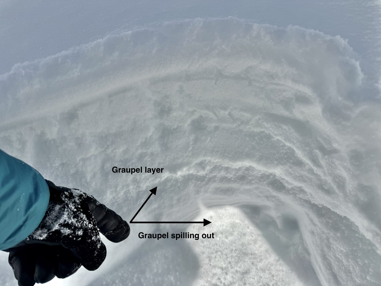 Observation photo
