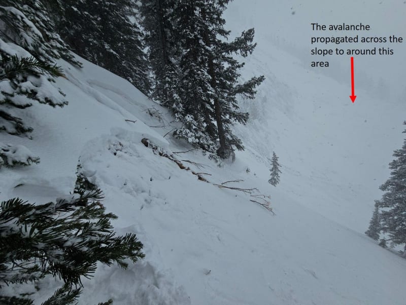 Observation photo 1