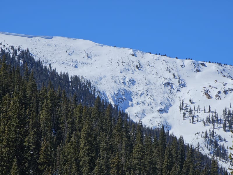 Observation photo 5