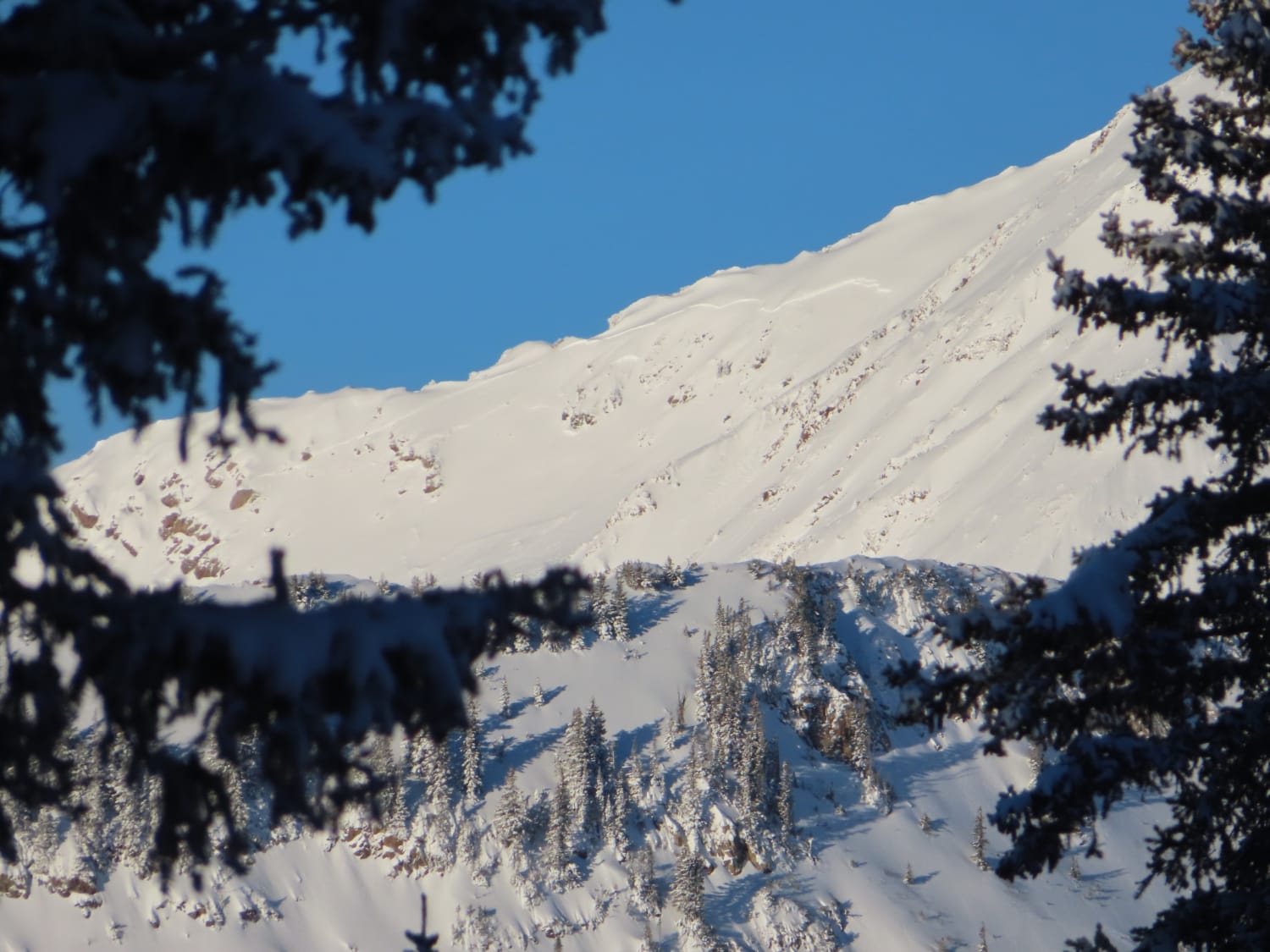 Observation photo