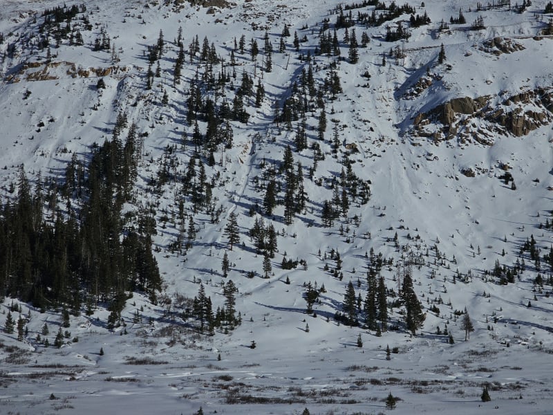 Observation photo 6