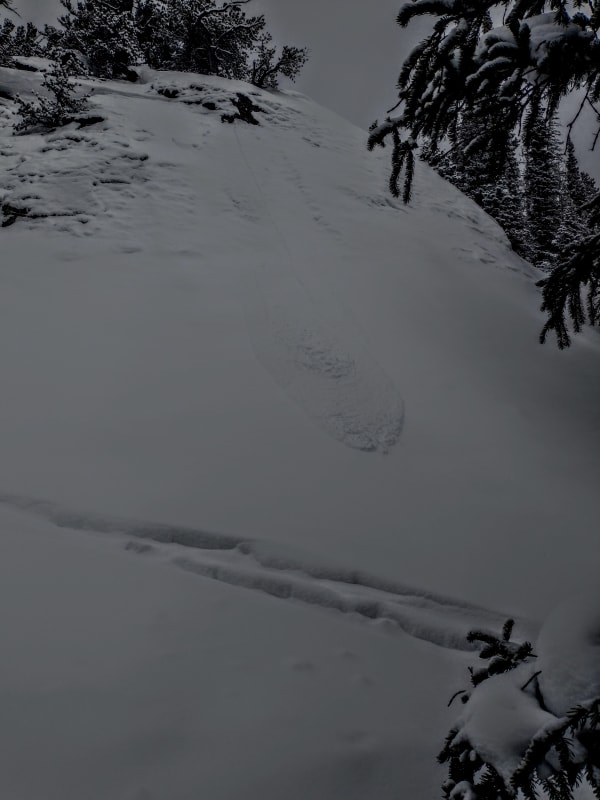 Observation photo 1