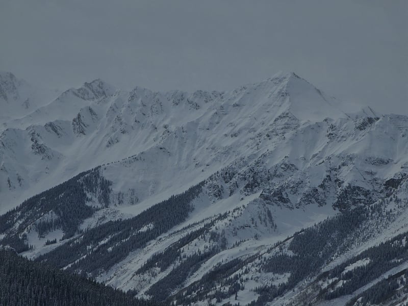 Observation photo 3