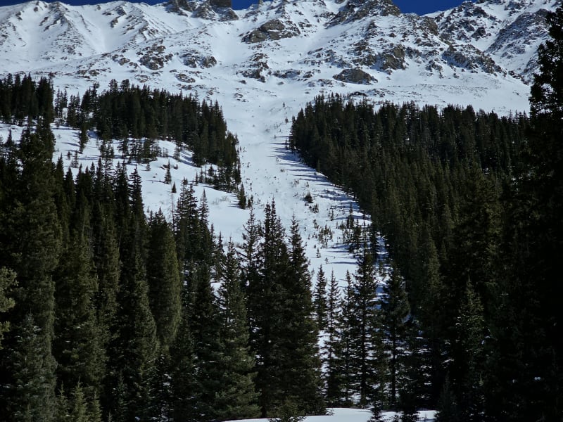 Observation photo 4