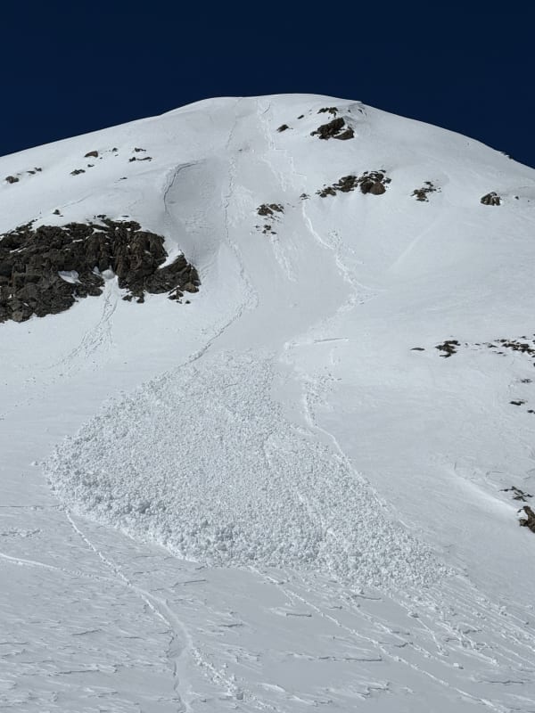 Observation photo 1