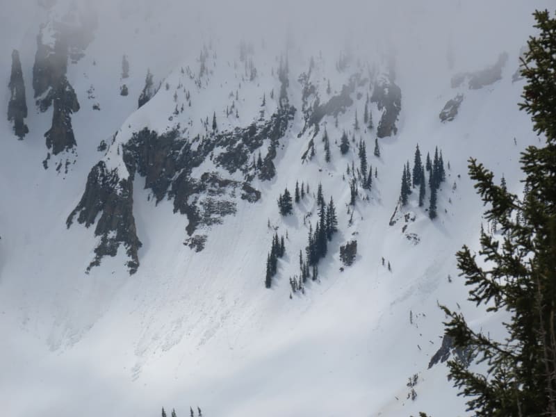 Observation photo 2