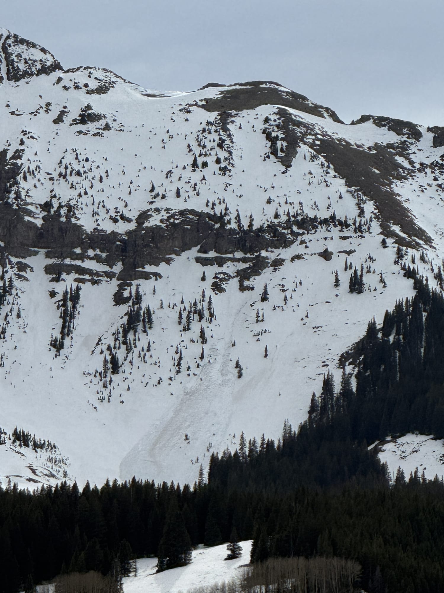 Observation photo