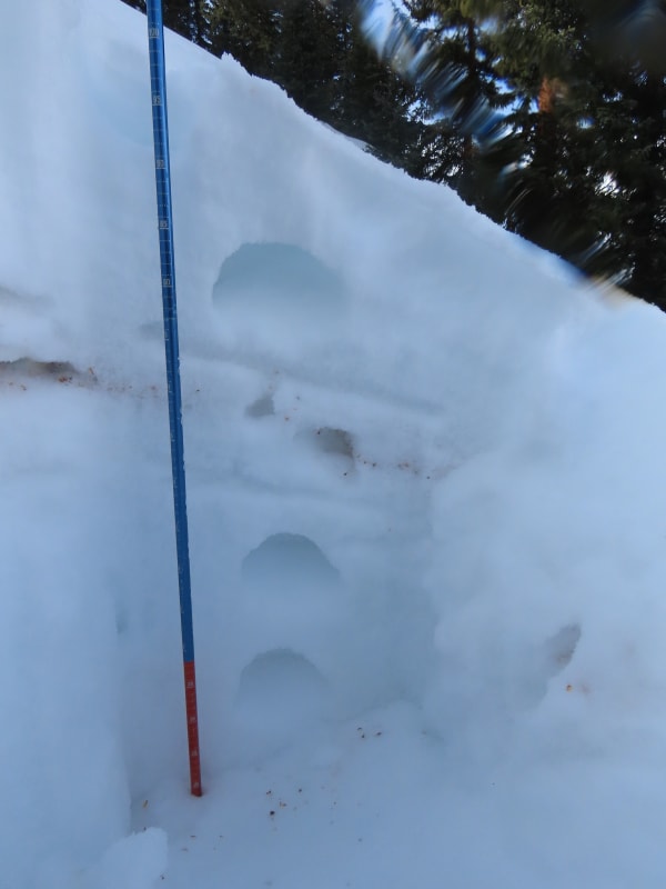 Observation photo 6