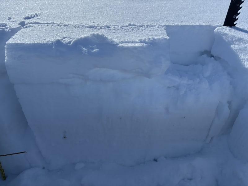 Observation photo 2