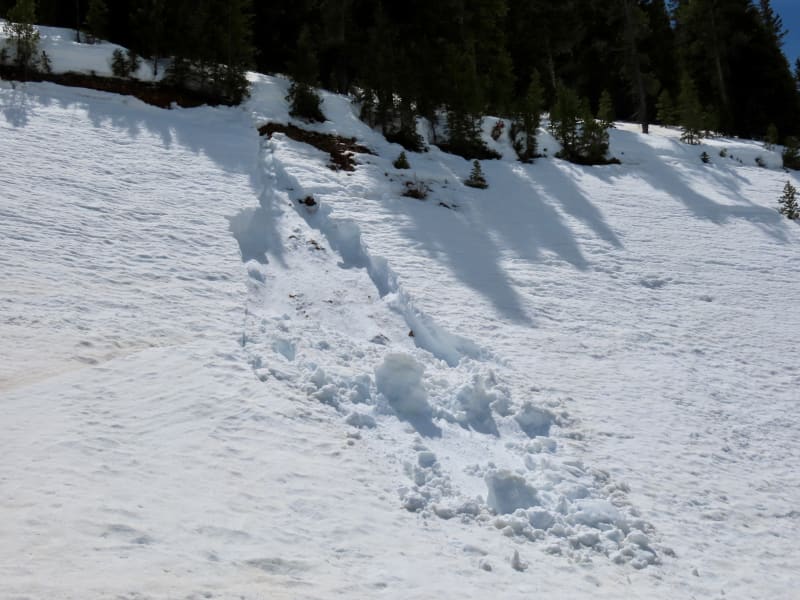 Observation photo 1