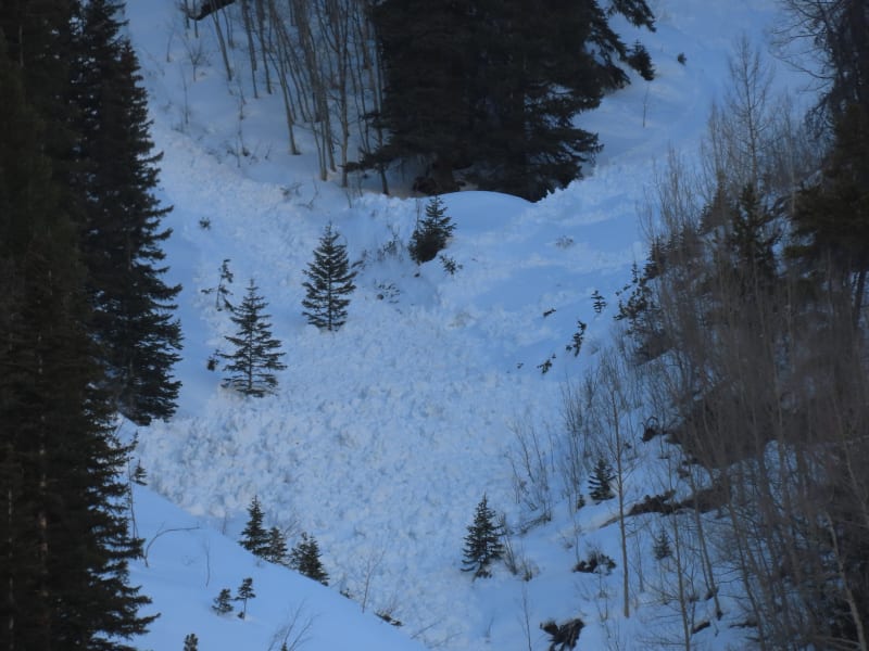 Observation photo 2