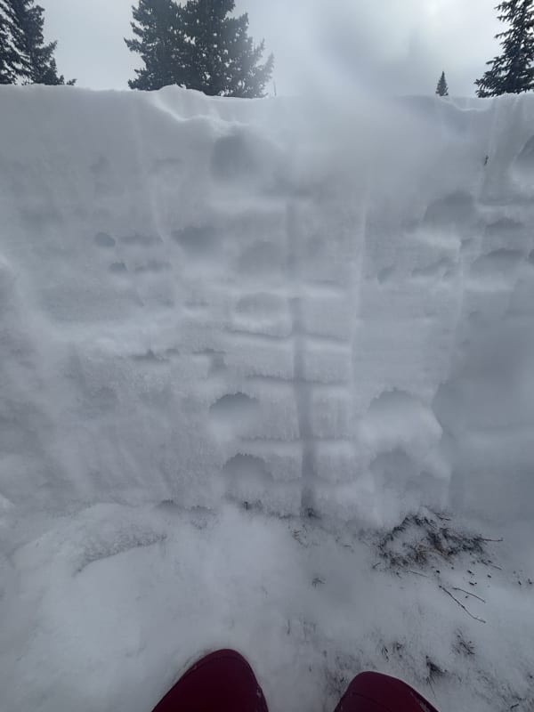 Observation photo 2