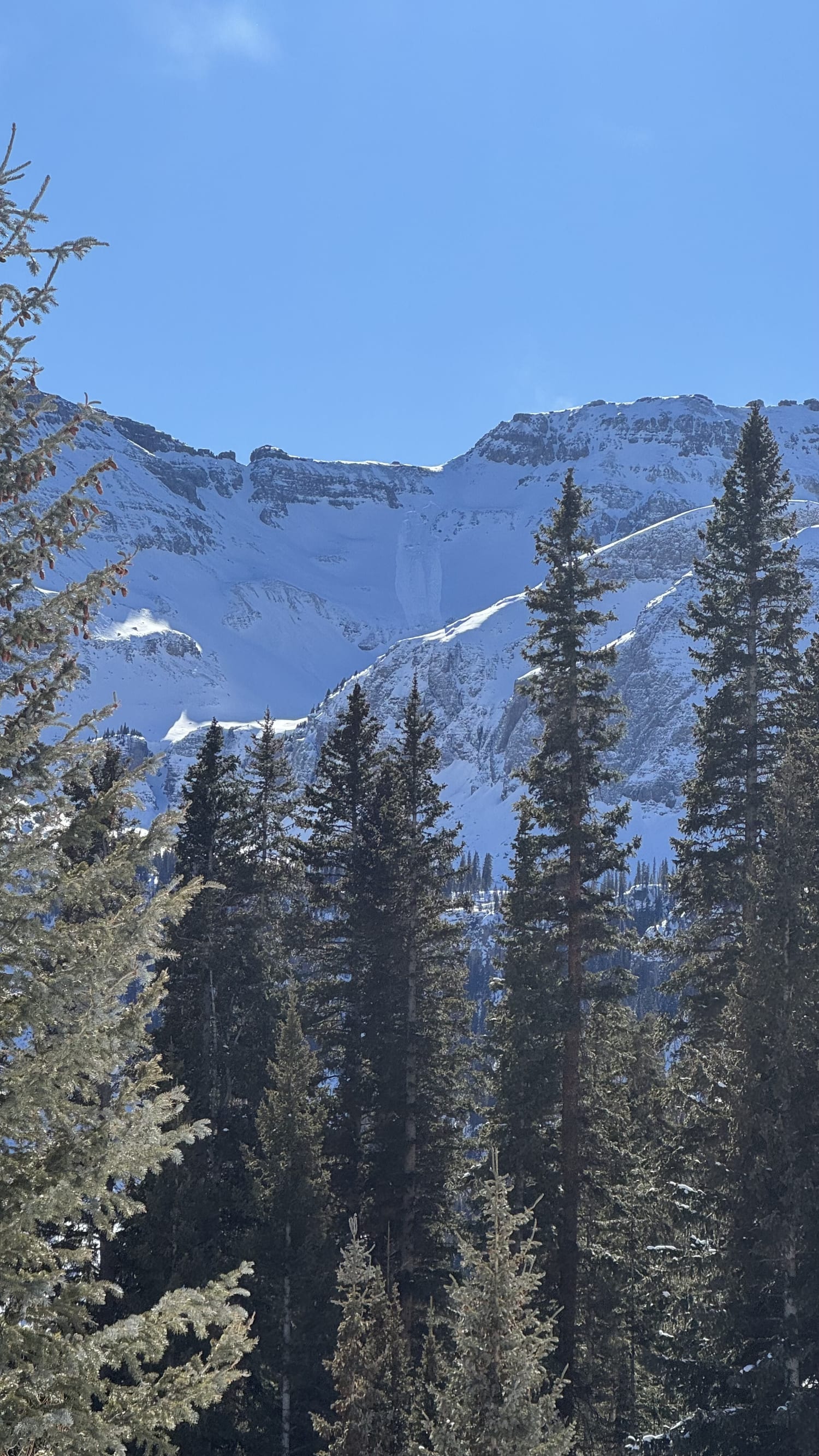 Observation photo