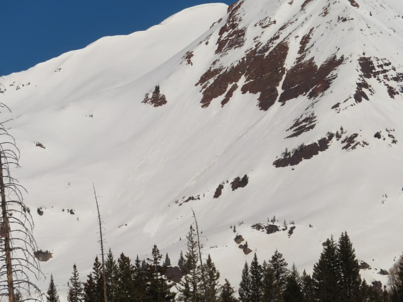 Observation photo 15