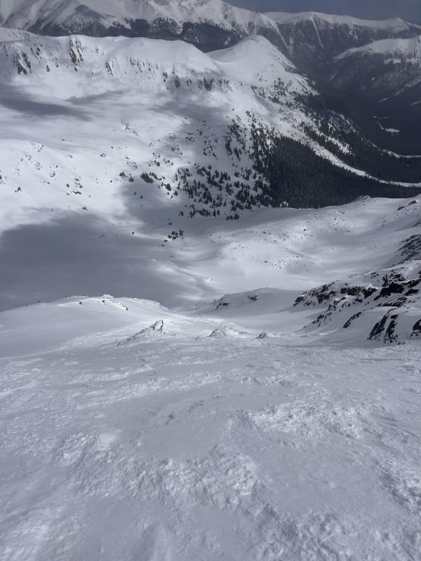 Observation photo 1