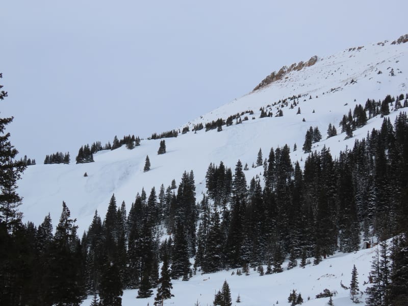 Observation photo 4