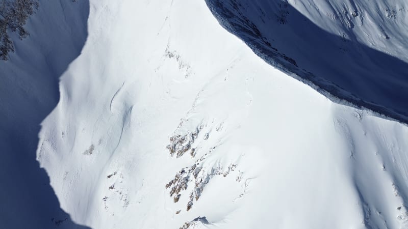 Observation photo 6