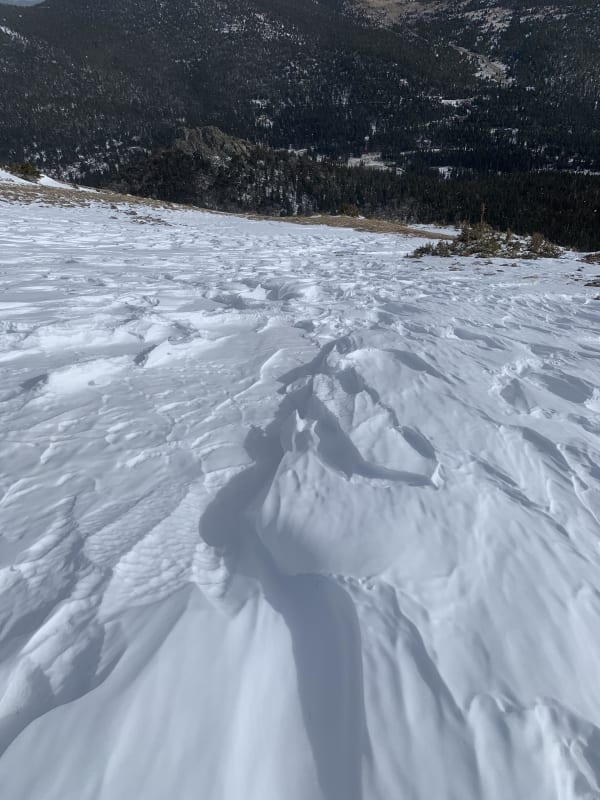 Observation photo 5