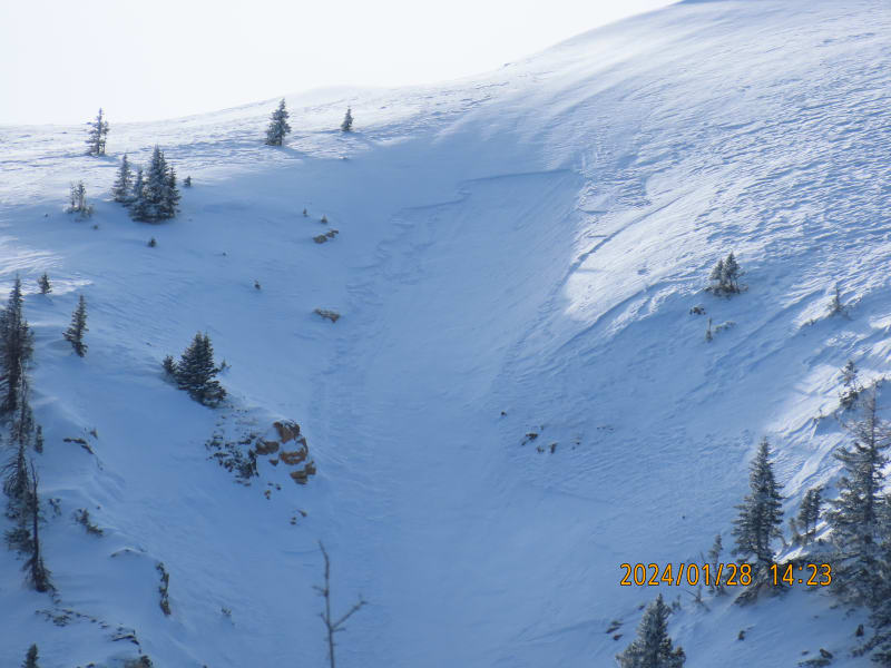 Observation photo 1