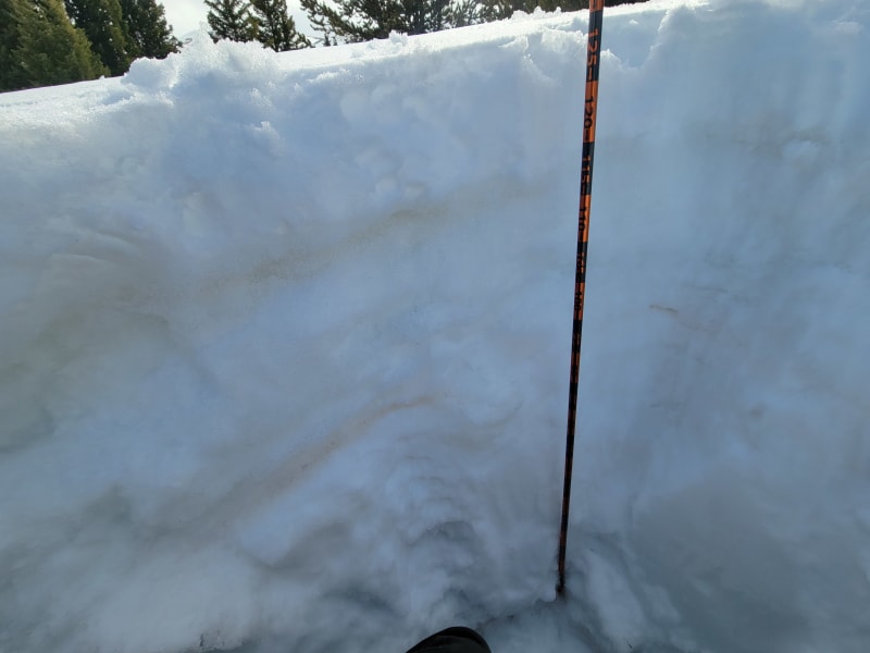 Observation photo 2