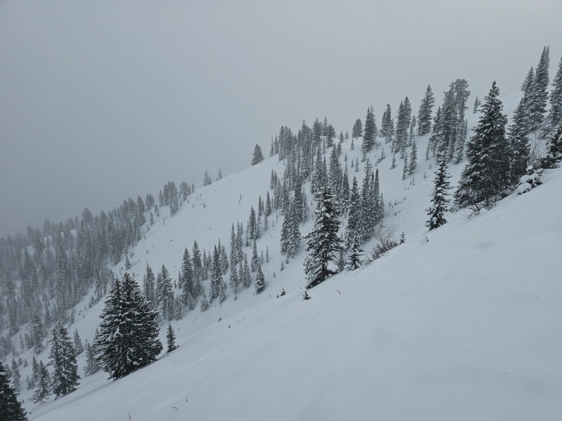 Observation photo 2