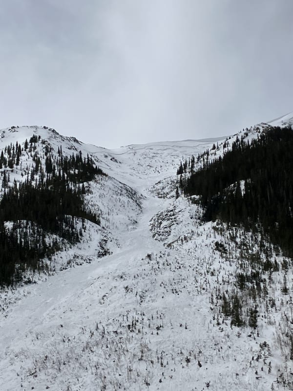 Observation photo 2