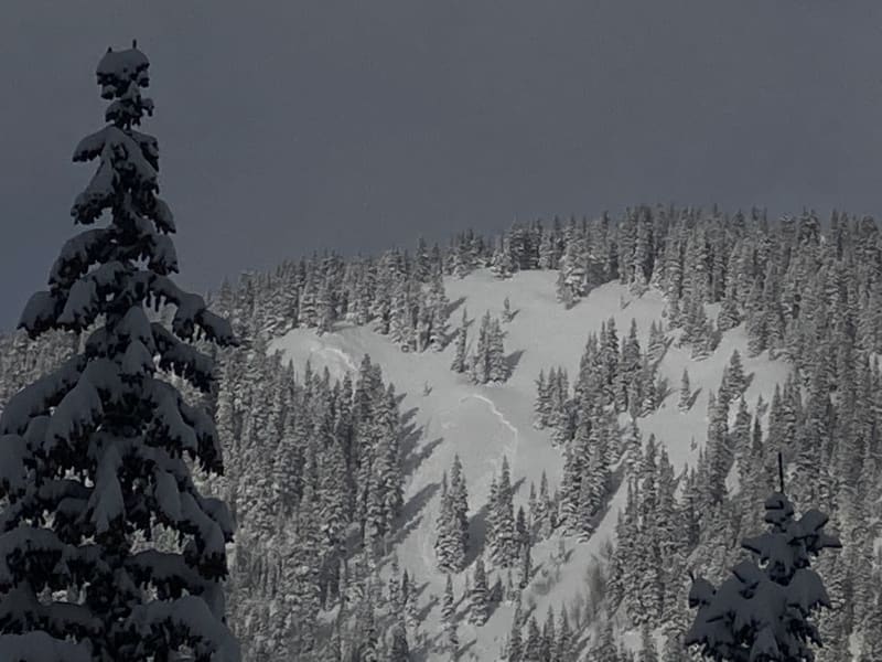 Observation photo 1