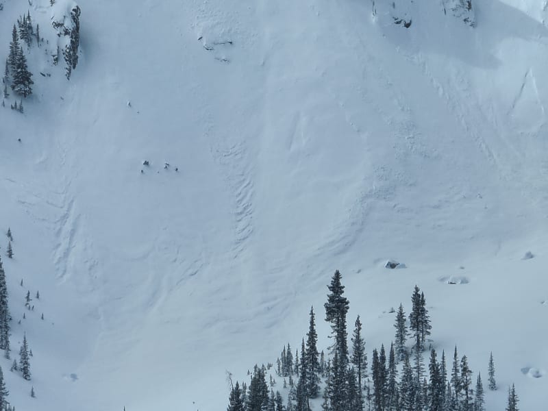 Observation photo 2