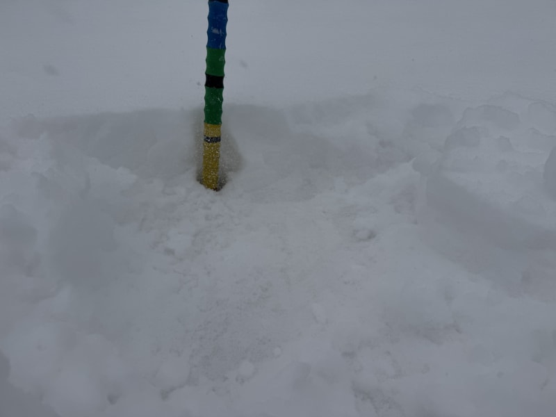 Observation photo 1