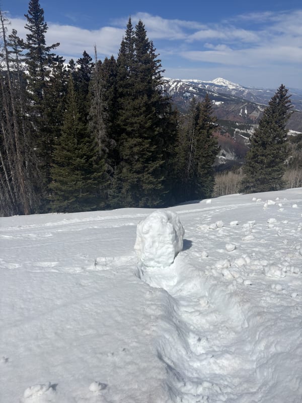 Observation photo 6