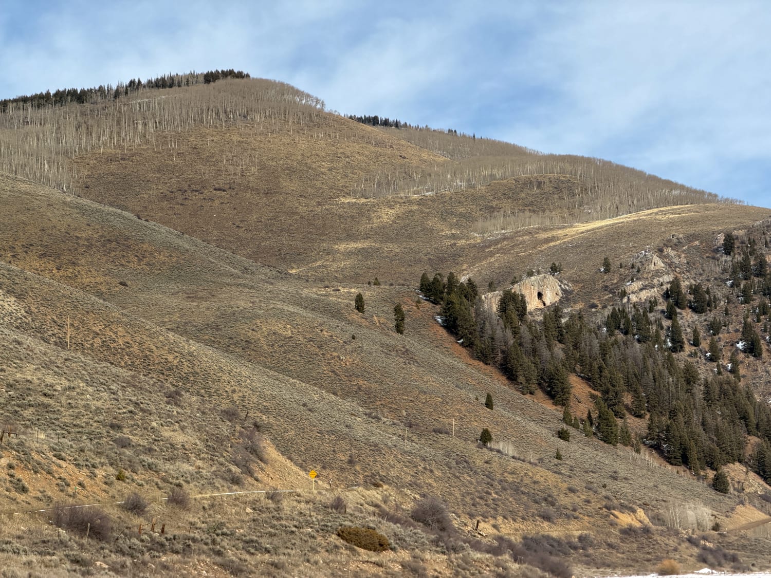 Observation photo