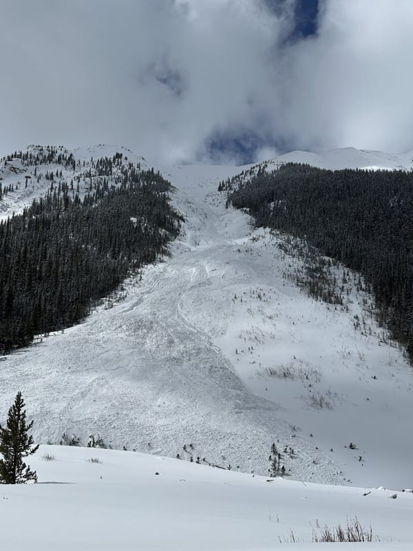 Observation photo 2