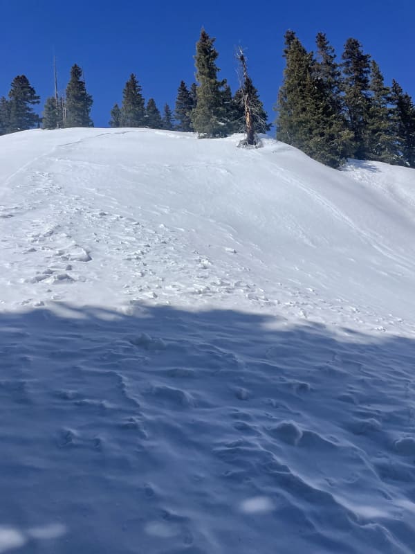 Observation photo 4