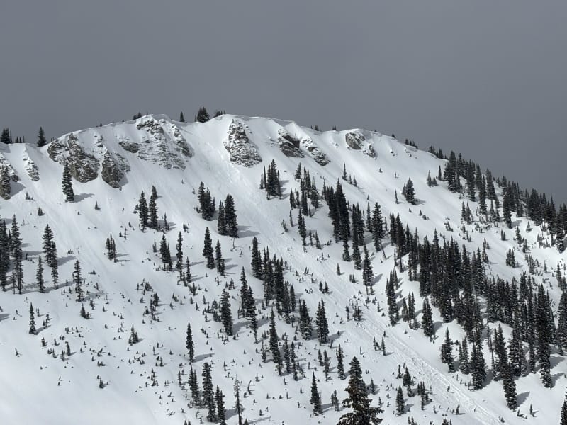 Observation photo 2