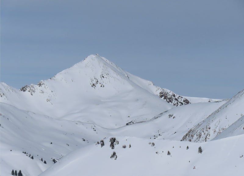 Observation photo 8