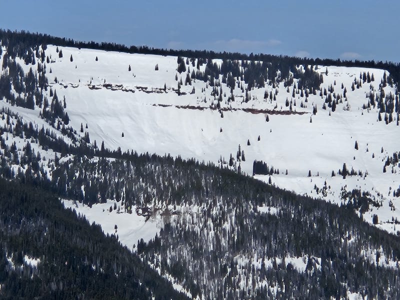 Observation photo 1