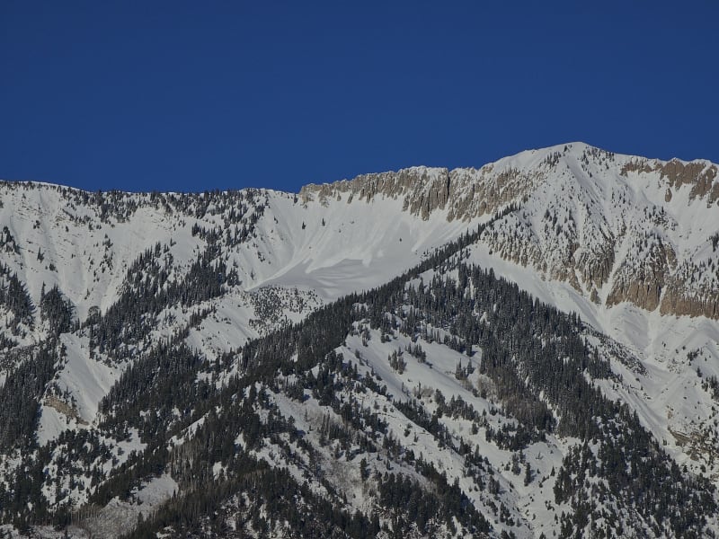 Observation photo 4