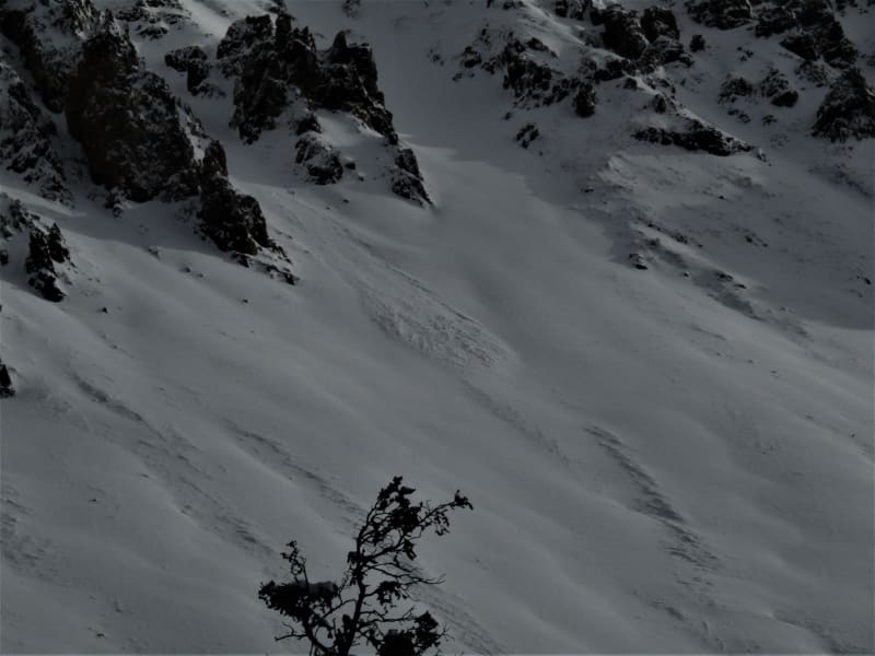 Observation photo 4