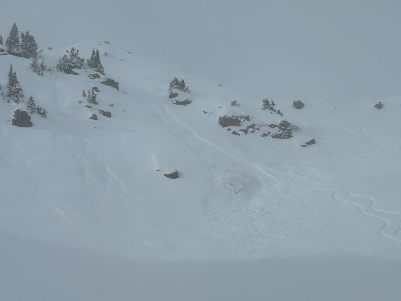 Observation photo 1