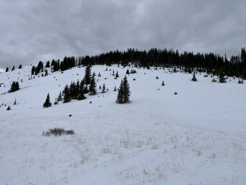 Observation photo 2
