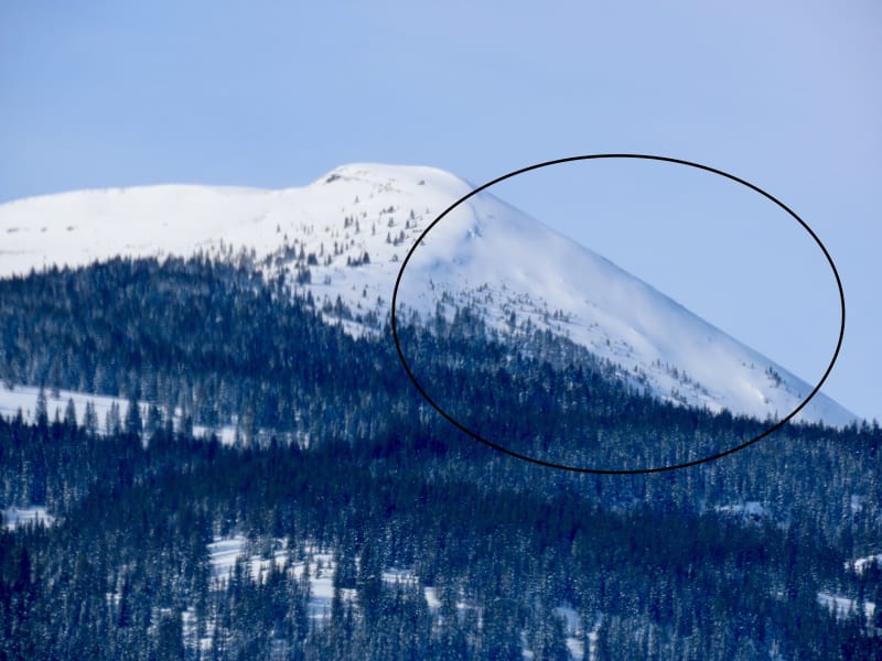Observation photo 4