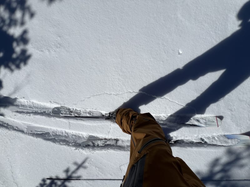 Observation photo 1