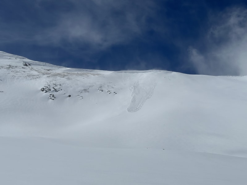 Observation photo 1