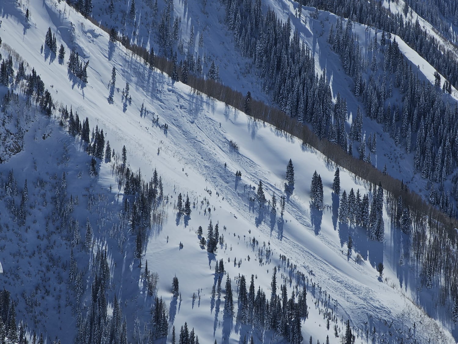 Observation photo