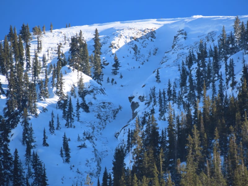 Observation photo 4