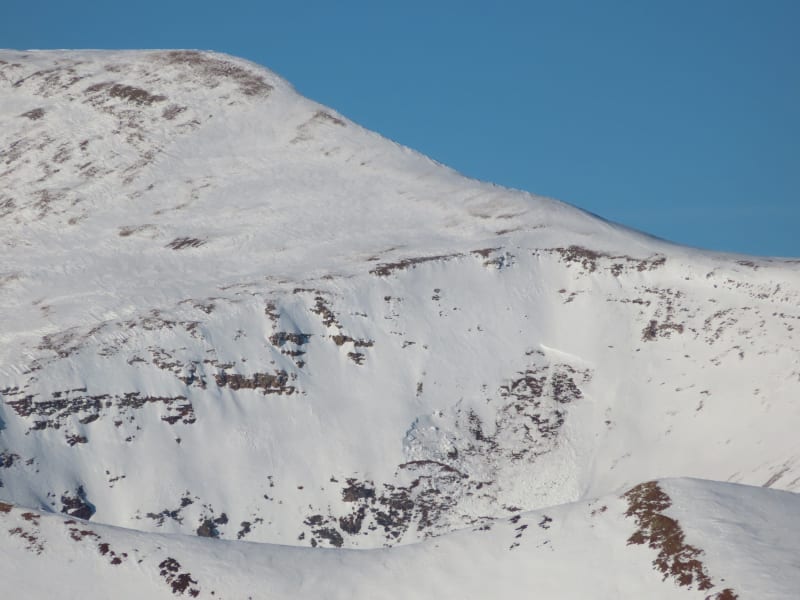 Observation photo 36